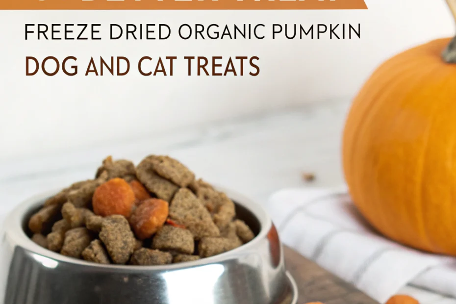 Boost Your Pet's Nutrition with A Better Treat – Freeze Dried Organic Pumpkin Dog and Cat Treats