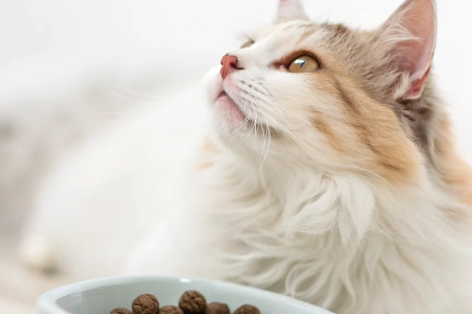 Ultimate Guide to Hairball Prevention for Cats: Tips & Solutions