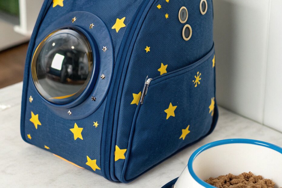 Explore the Walmart Cat Astronaut Backpack for Your Feline Friend