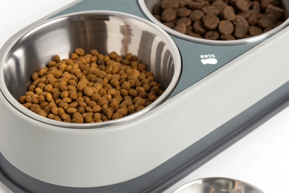 Understanding the 2 in 1 Cat Feeder for Modern Pet Care